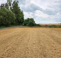 Garten-Freizeitgrundstück in Elz zu verpachten – je 600 m²