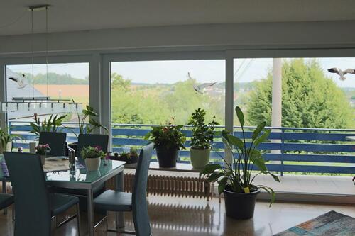 Foto - Einfamilienhaus in Puderbach zum Kaufen