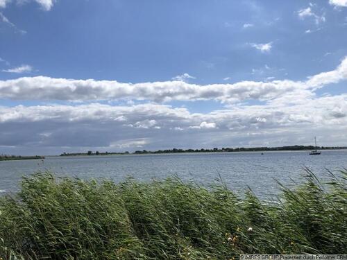 Foto - Etagenwohnung in Greifswald zur Miete