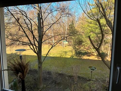 Foto - 3 Zimmer Etagenwohnung in Wolfenbüttel