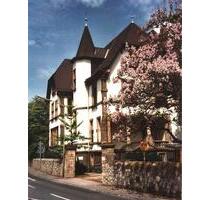 1-Zimmer Wohnung in historischer Jugendstilvilla in Nierstein