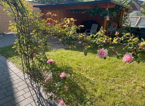 Foto - 3 Zimmer Einfamilienhaus zum Kaufen in Essingen