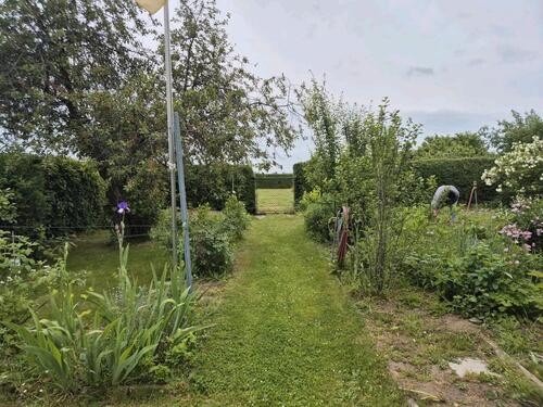 Foto - Grundstück in Röderland zur Miete