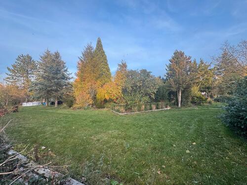 Foto - Grundst&uuml;ck zur Miete in Vacha