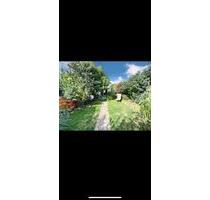 Renovierte Gartenwohnung in OS- Sonnenhügel - Osnabrück Dodesheide