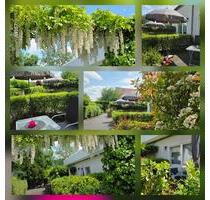 UnterkunftApartmentsDoppelzimmerMonteurzimmer in Dresden