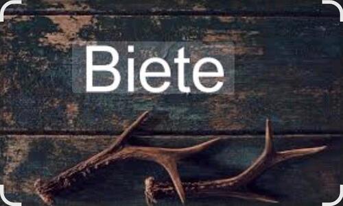 Foto - 3 Zimmer Wohnung in Remseck am Neckar