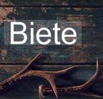 3 Zimmer Wohnung in Remseck am Neckar