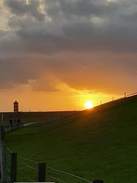 Foto - andere in Krummhörn