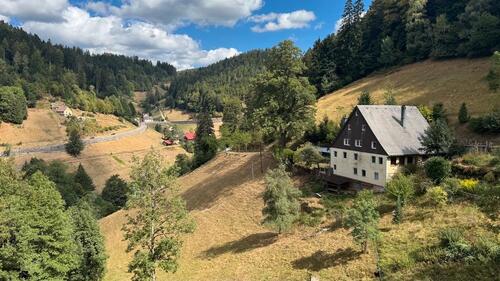 Foto - 7 Zimmer Bauernhaus, Landhaus zum Kaufen in Gütenbach