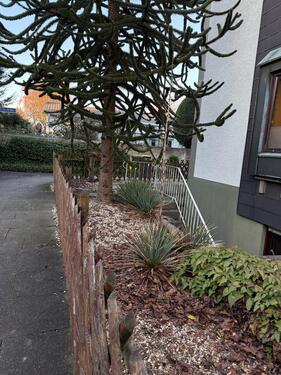 Foto - 1 Zimmer Reihenhaus zur Miete in Kamen