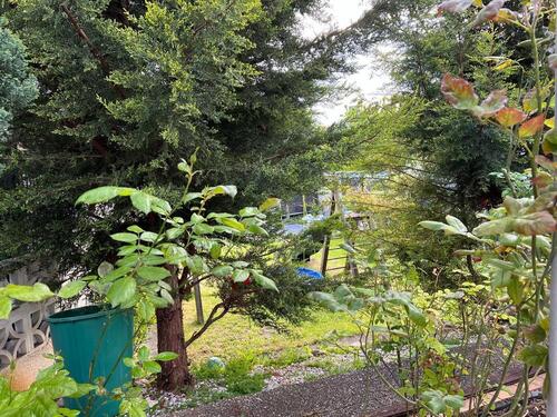 Foto - 13 Zimmer Mehrfamilienhaus, Wohnhaus zum Kaufen in Trebur