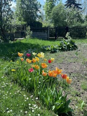 Foto - Garten abzugeben - 1.300,00 EUR Kaltmiete, ca.  0,00 m²