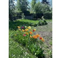 Garten abzugeben - 1.300,00 EUR Kaltmiete, ca.  0,00 m² in Apolda (PLZ: 99510)