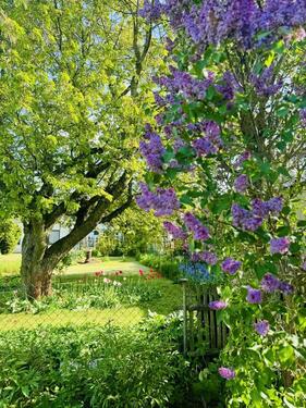 Foto - Grundstück zur Miete in Apolda