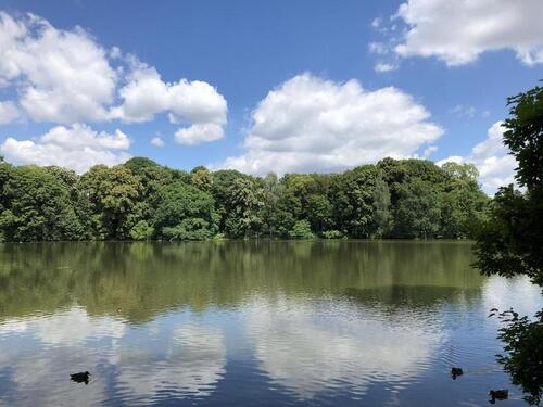 Foto - 1 Zimmer Etagenwohnung zur Miete in Chemnitz