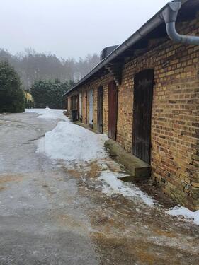 Foto - 3 Zimmer Erdgeschoßwohnung zur Miete in Bad Muskau