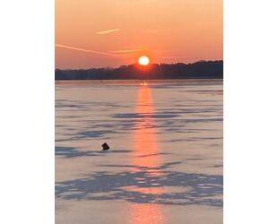 Haus fast am See, Naturoase - 45.000,00&nbsp;EUR Kaufpreis, ca.&nbsp; 40,00&nbsp;m&sup2; in Beeskow (PLZ: 15848)