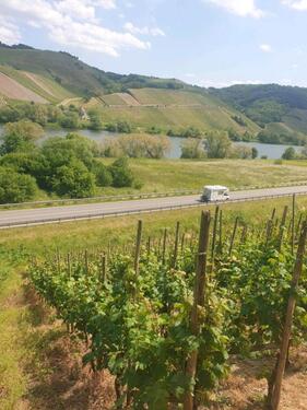 Foto - Grundstück in Neumagen-Dhron zur Miete