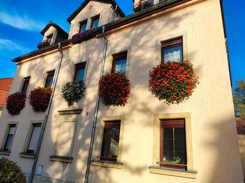 Foto - Schöne helle 2-Raumwohnung in Copitz