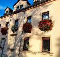 Schöne helle 2-Raumwohnung in Copitz - Pirna