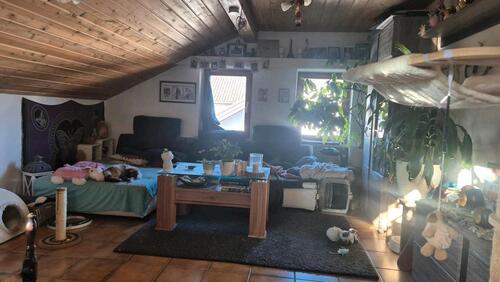 Foto - 2 Zimmer Dachgeschoßwohnung in Wasserburg am Inn
