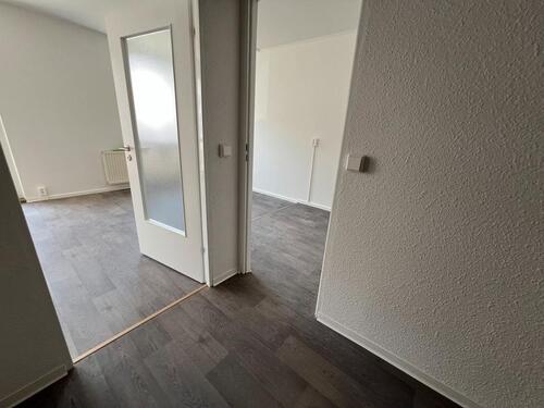 Foto - Etagenwohnung zur Miete in Chemnitz