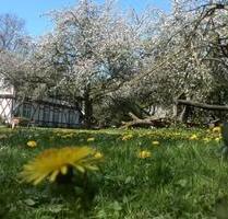 Mehrfamilienhaus mit 19.000 qm Land in MV - Gützkow