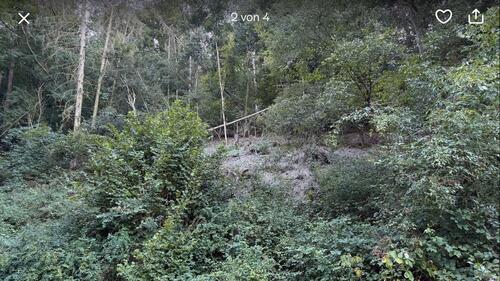 Foto - Grundstück zur Miete in Sankt Goar