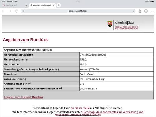 Foto - Grundstück in Sankt Goar