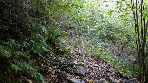 Foto - Grundstück in Sankt Goar zur Miete