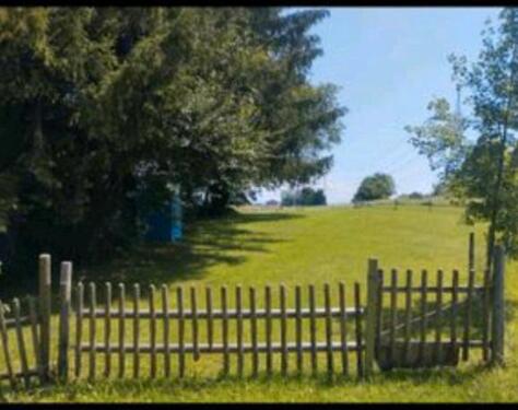Foto - schrebergarten gartenhaus garten freizeitgrundstück hundeplatz