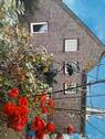 Foto - Einfamilienhaus in Groß Oesingen