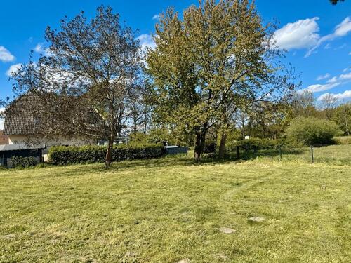 Foto - 3.5 Zimmer Dachgeschoßwohnung zur Miete in Falkensee