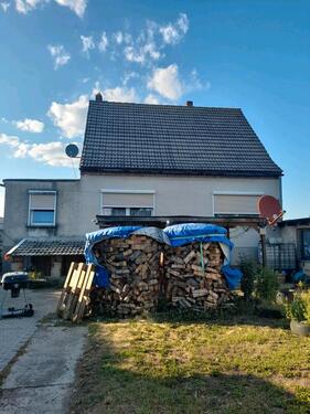 Foto - 6 Zimmer Einfamilienhaus in Oranienbaum-Wörlitz
