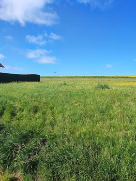 Foto - Zwei außergewöhnliche nebeneinander liegende Baugrundstücke direkt am Feldrand