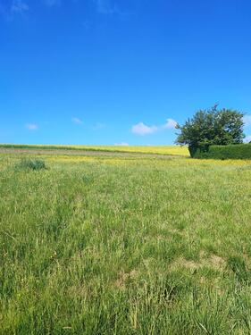 Foto - Grundstück in Homberg (Ohm)