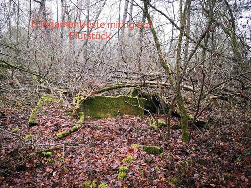 Foto - Grundst&uuml;ck in Jüterbog