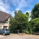 Foto - Gepflegtes Reihenhaus in ruhiger, familienfreundlicher Lage