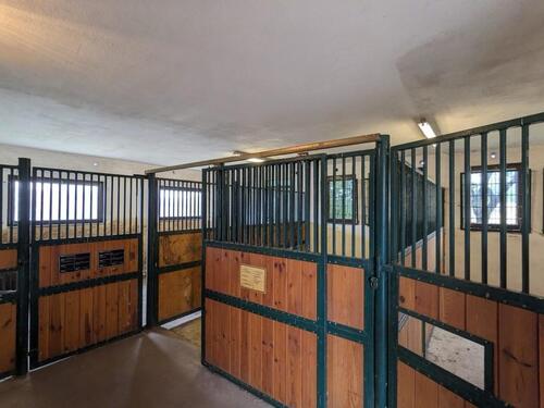 Foto - Einfamilienhaus zum Kaufen in Ilmenau