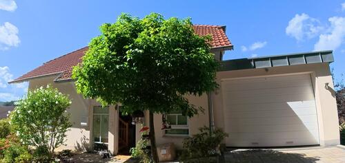 Foto - Großes Haus für große Träume mit traumhaftem Ausblick – ohne Prov