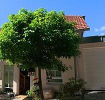 Großes Haus für große Träume mit traumhaftem Ausblick – ohne Prov - Höchst im Odenwald