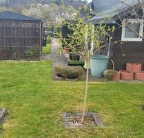 Der perfekte Garten zum Entspannen bei Kleingärten Strandbad - Bad Hersfeld