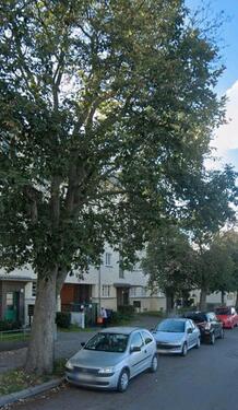 Foto - Schönes WG-Zimmer (16 m²) in zentraler Lage in Erfurt