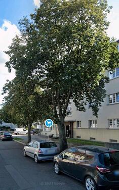 Foto - 1 Zimmer Etagenwohnung zur Miete in Ilmenau