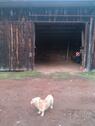 Foto - andere in Sontra
