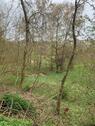 Foto - Freizeitgrundstück in Weyer Waldstraße 608qm