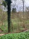 Foto - Grundst&uuml;ck in Runkel
