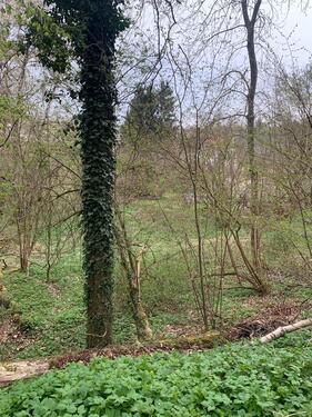 Foto - Grundst&uuml;ck in Runkel