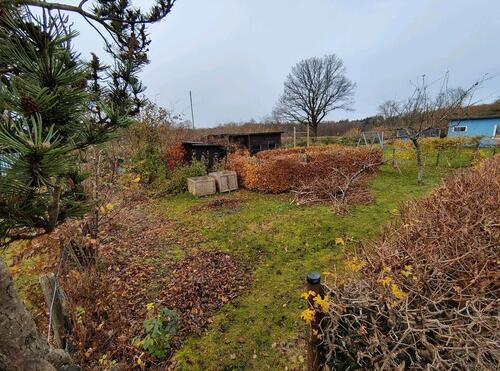 Foto - Schrebergarten Garten abzugeben (WesteralleeStille Liebe)
